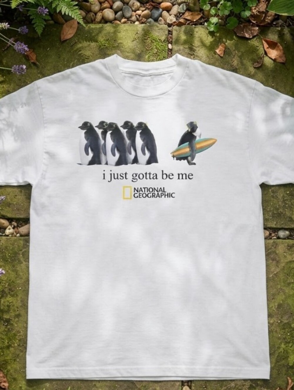 National Geographic a monkey holding a surfboard and four penguins T-shirt
